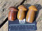 Polished Malagasy Jasper Mushrooms x 24 From Madagascar - Toprock Gemstones and Minerals 