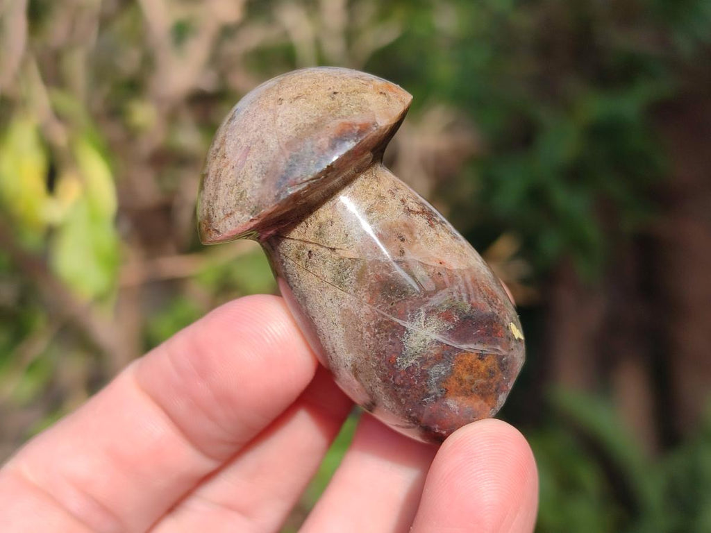 Polished Malagasy Jasper Mushrooms x 24 From Madagascar - Toprock Gemstones and Minerals 