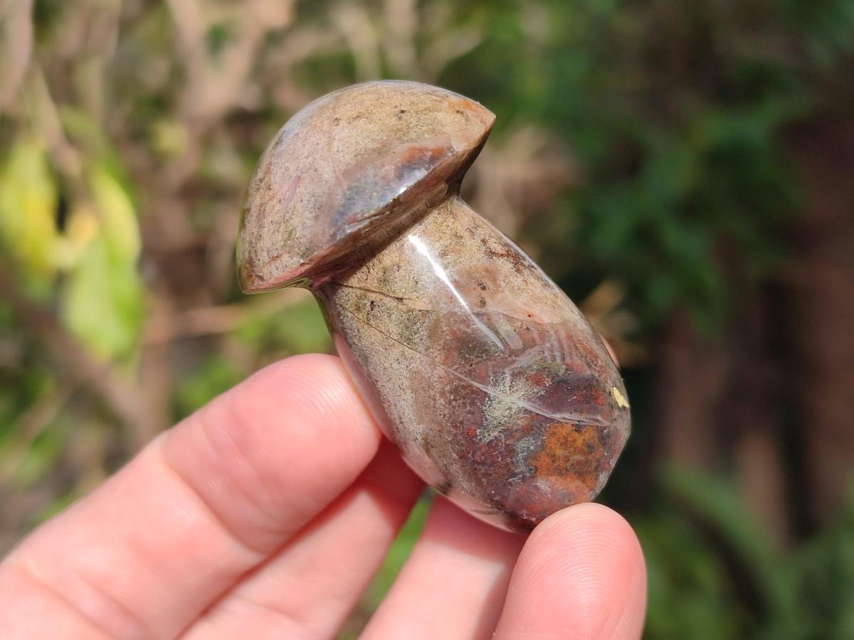 Polished Malagasy Jasper Mushrooms x 24 From Madagascar - Toprock Gemstones and Minerals 
