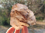Polished Smokey Quartz Display Crystals x 2 From Madagascar - Toprock Gemstones and Minerals 