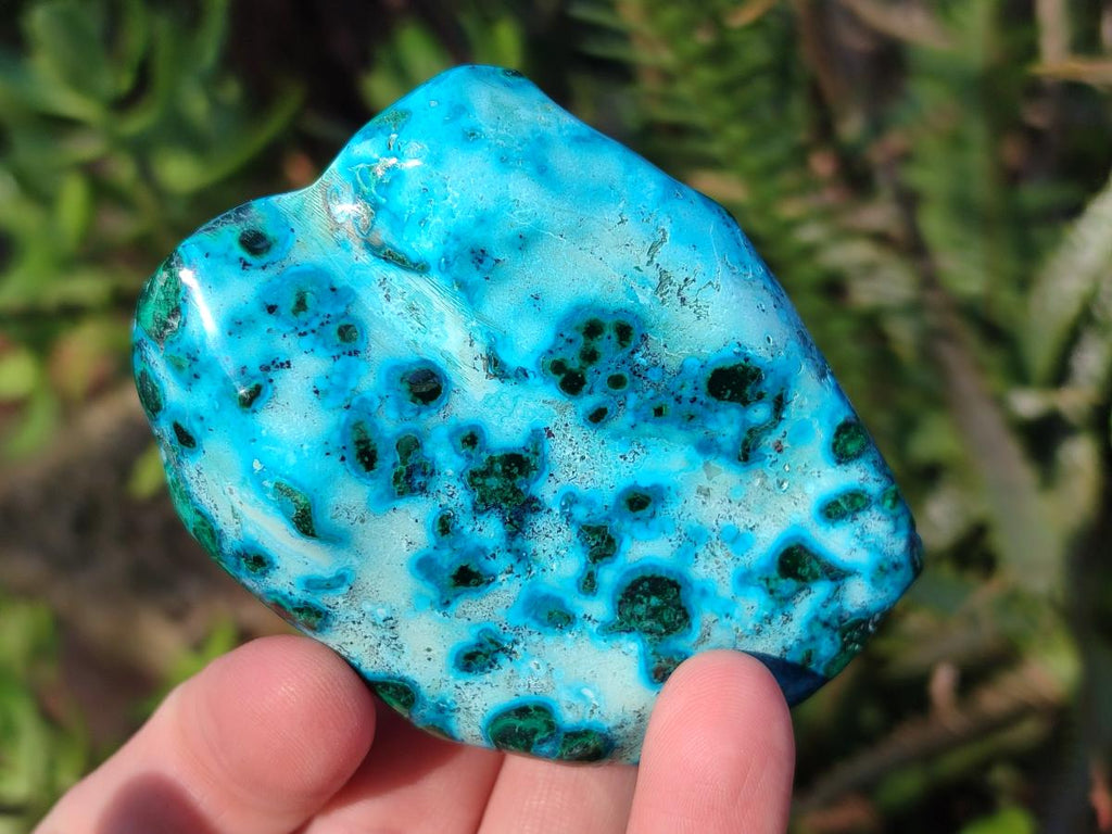 Polished Malacolla Free Forms x 12 From Kulukuluku, Congo - Toprock Gemstones and Minerals 