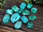 Polished Malacolla Free Forms x 12 From Kulukuluku, Congo - Toprock Gemstones and Minerals 