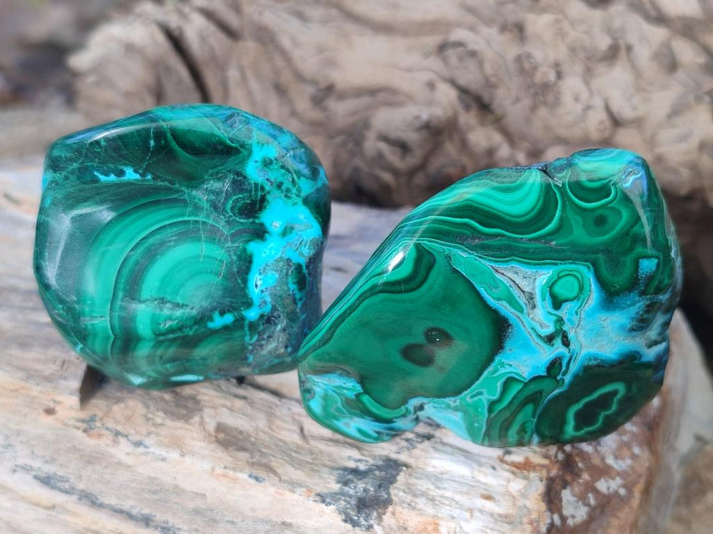Polished Malacolla Free Forms x 12 From Kulukuluku, Congo - Toprock Gemstones and Minerals 