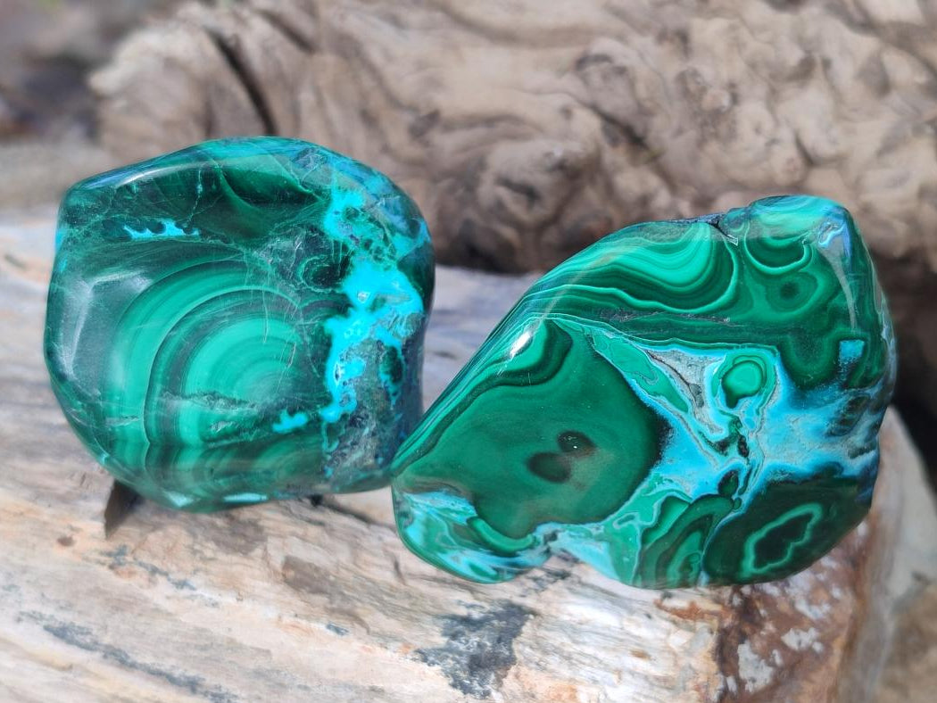 Polished Malacolla Free Forms x 12 From Kulukuluku, Congo - Toprock Gemstones and Minerals 