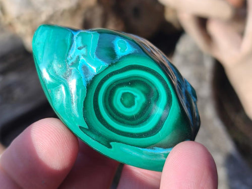 Polished Malacolla Free Forms x 12 From Kulukuluku, Congo - Toprock Gemstones and Minerals 
