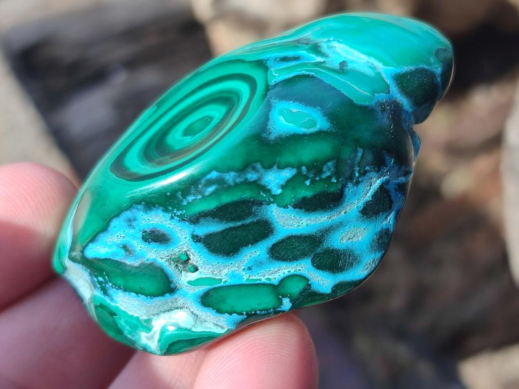 Polished Malacolla Free Forms x 12 From Kulukuluku, Congo - Toprock Gemstones and Minerals 