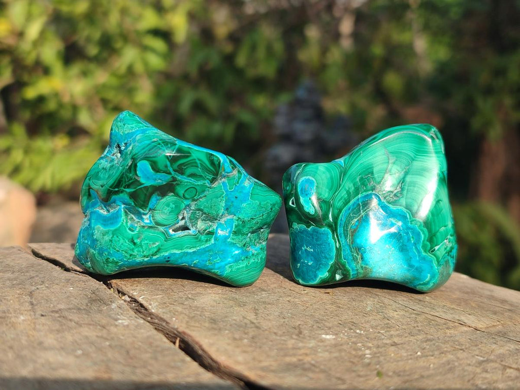 Polished Malacolla Free Forms x 12 From Kulukuluku, Congo - Toprock Gemstones and Minerals 