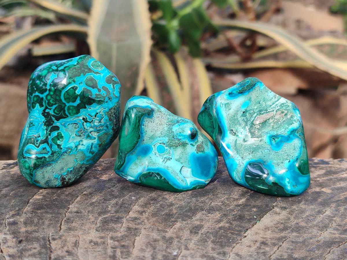 Polished Malacolla Free Forms x 12 From Kulukuluku, Congo - Toprock Gemstones and Minerals 