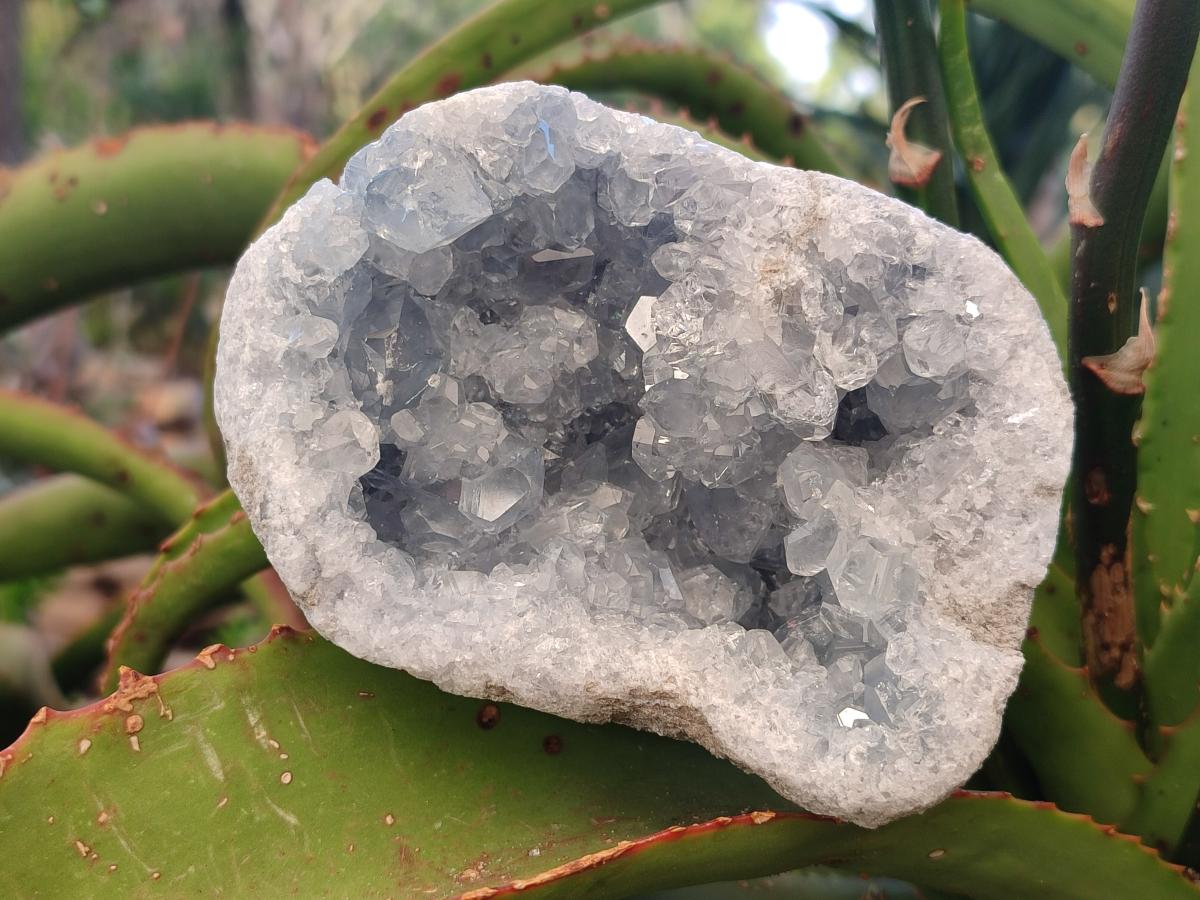Natural Blue Celestite Geode Specimens x 2 From Sakoany, Madagascar - Toprock Gemstones and Minerals 