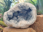 Natural Blue Celestite Geode Specimens x 2 From Sakoany, Madagascar - Toprock Gemstones and Minerals 