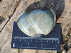 Polished Polychrome Jasper Twin Hearts x 6 From NW Coast, Madagascar - Toprock Gemstones and Minerals 