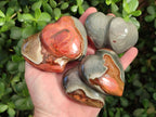 Polished Polychrome Jasper Twin Hearts x 6 From NW Coast, Madagascar - Toprock Gemstones and Minerals 