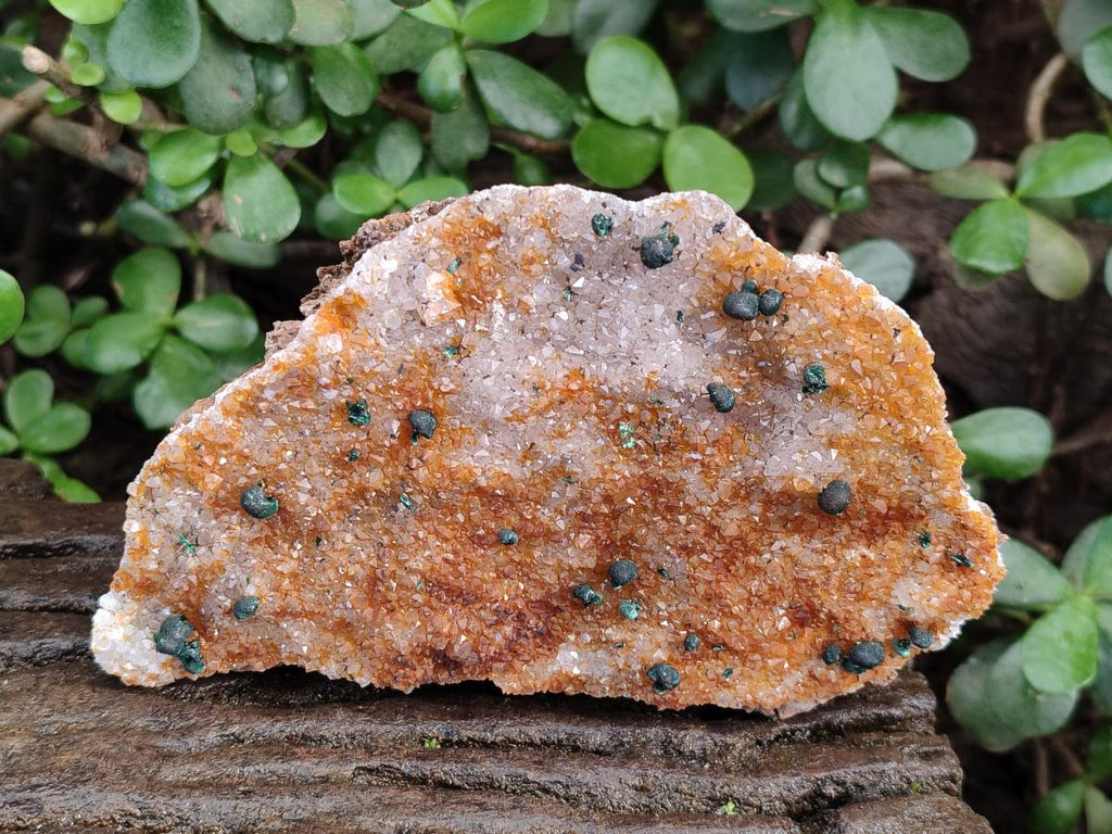 Natural Ball Malachite Specimens Coated with Drusy Quartz on Dolomite x 4 From Mindingi Mine, Congo - Toprock Gemstones and Minerals 