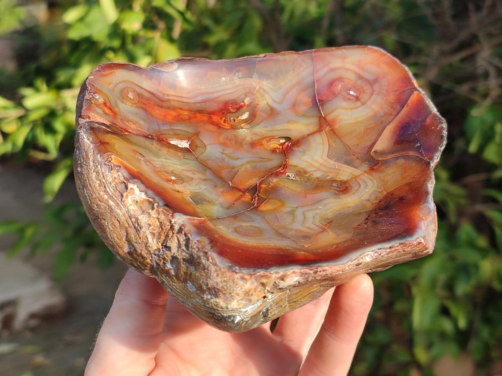 Polished Carnelian Agate Gemstone Bowls x 2 From Madagascar - Toprock Gemstones and Minerals 