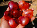 Polished Carnelian Agate Gemstone Hearts x 24 From Madagascar - Toprock Gemstones and Minerals 
