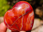 Polished Carnelian Agate Gemstone Hearts x 24 From Madagascar - Toprock Gemstones and Minerals 