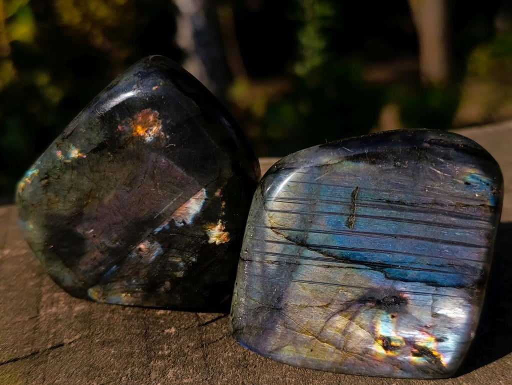 Polished Labradorite Standing Display Pieces x 12 From Madagascar - Toprock Gemstones and Minerals 