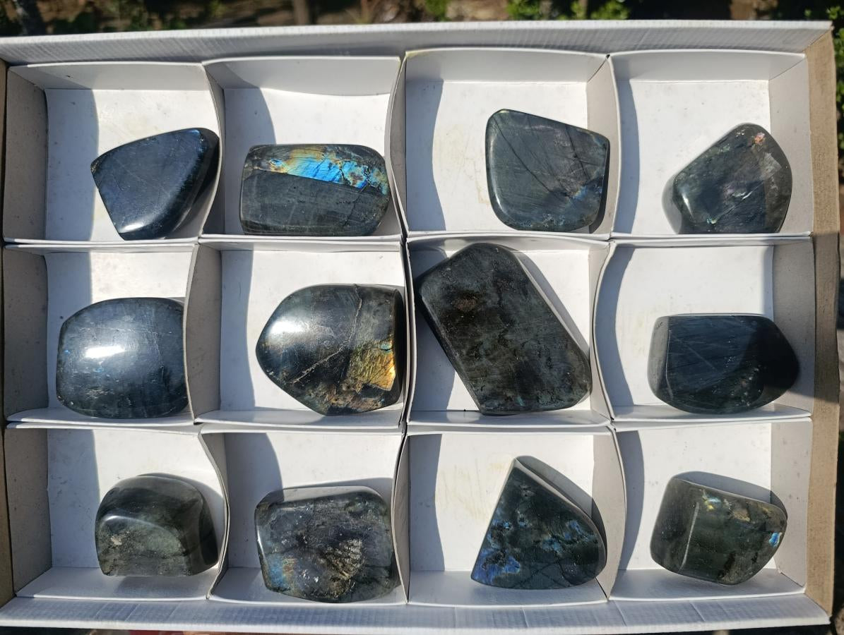 Polished Labradorite Standing Display Pieces x 12 From Madagascar - Toprock Gemstones and Minerals 