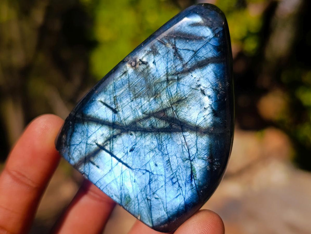 Polished Labradorite Standing Display Pieces x 12 From Madagascar - Toprock Gemstones and Minerals 