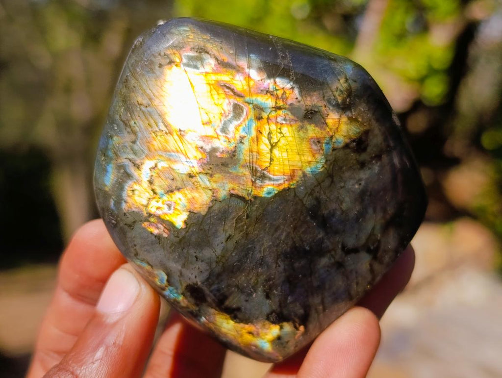 Polished Labradorite Standing Display Pieces x 12 From Madagascar - Toprock Gemstones and Minerals 
