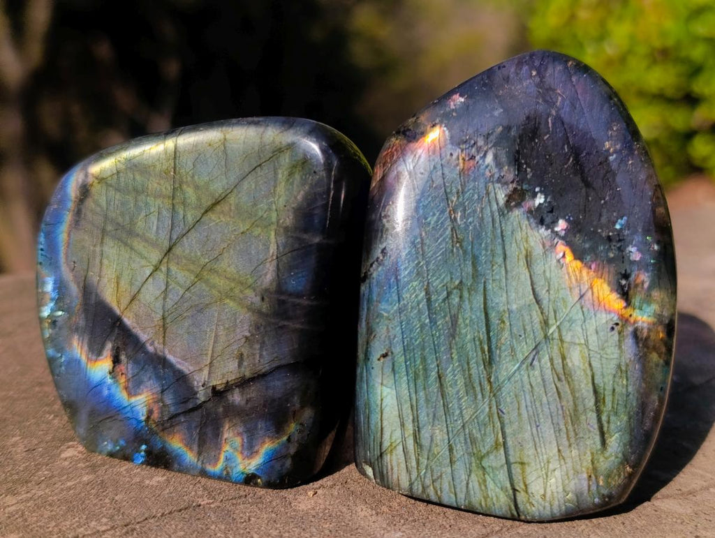 Polished Labradorite Standing Display Pieces x 12 From Madagascar - Toprock Gemstones and Minerals 