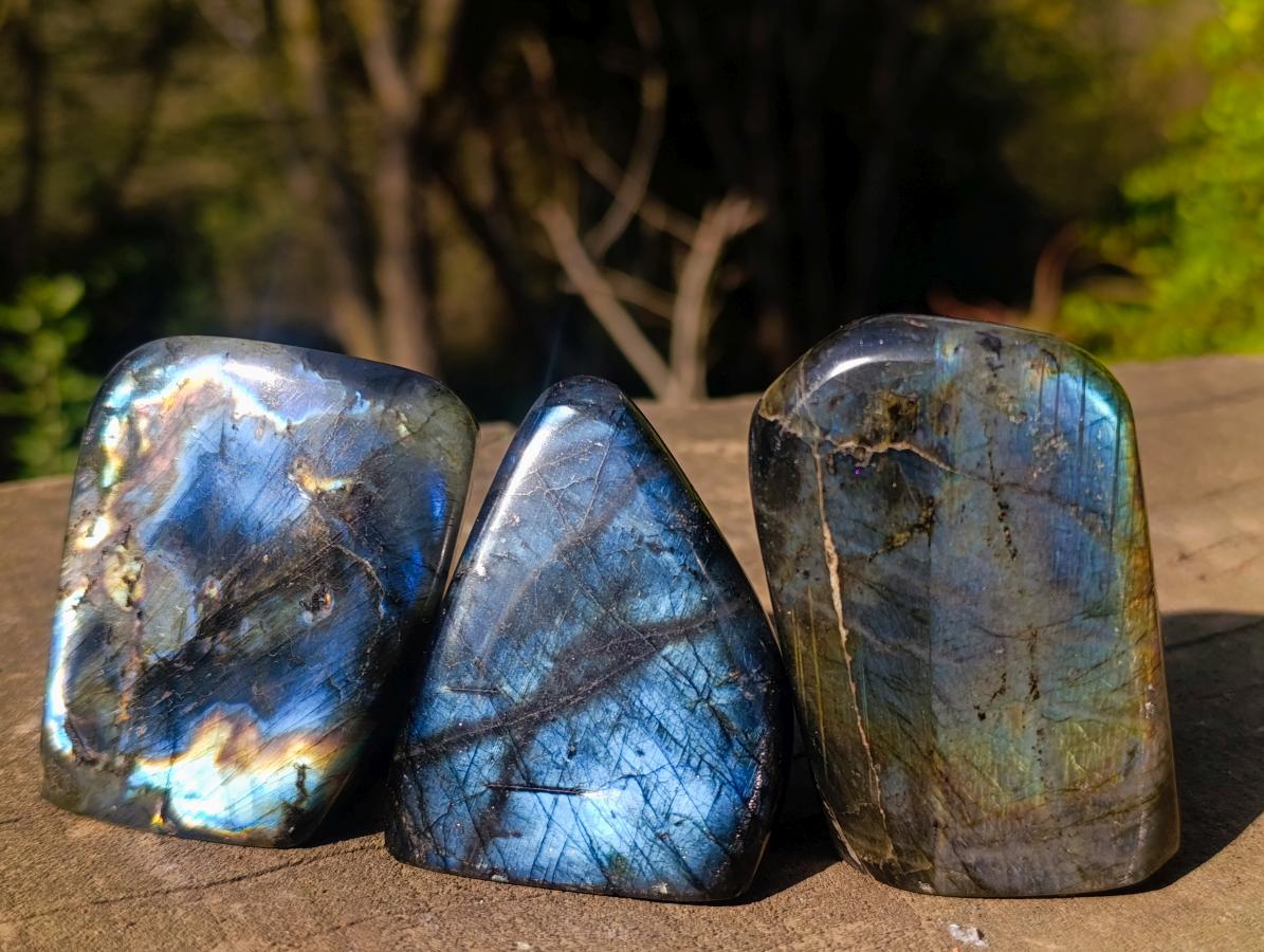 Polished Labradorite Standing Display Pieces x 12 From Madagascar - Toprock Gemstones and Minerals 