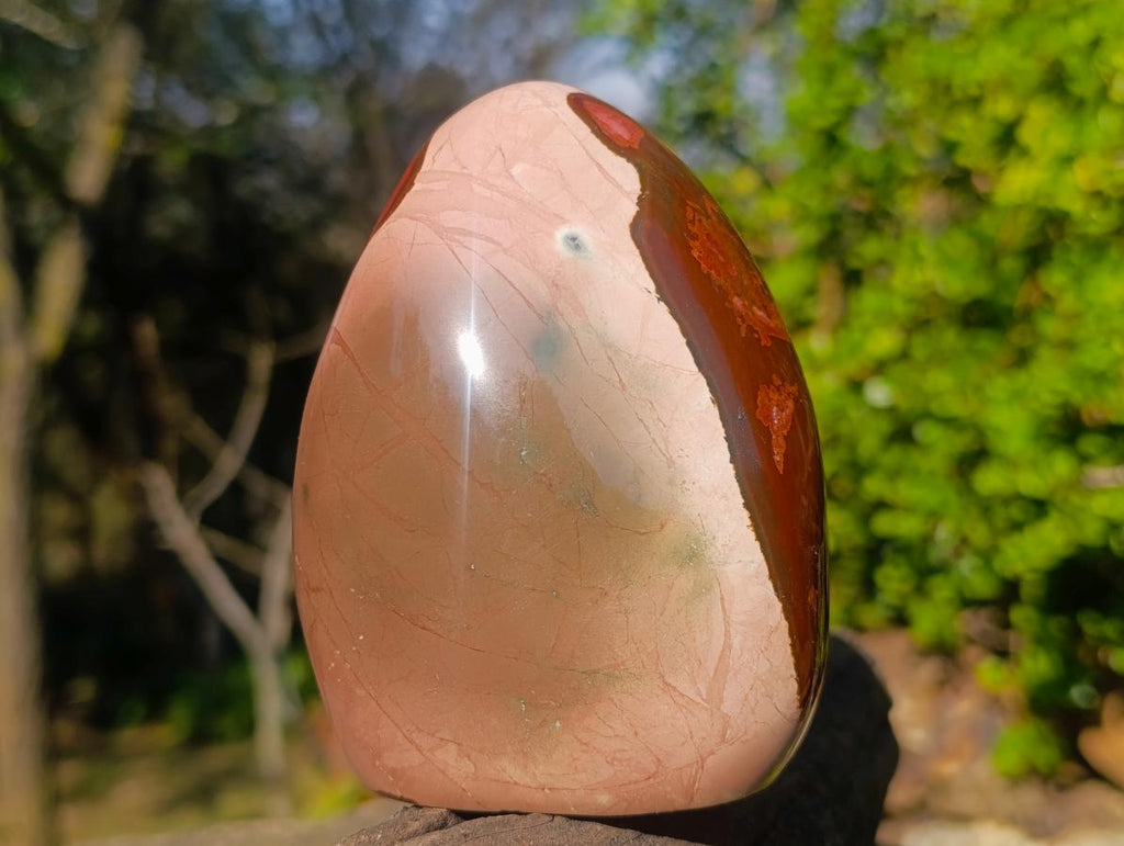 Polished Polychrome Jasper Standing Display Pieces x 2 From NW Coast, Madagascar - Toprock Gemstones and Minerals 