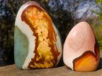 Polished Polychrome Jasper Standing Display Pieces x 2 From NW Coast, Madagascar - Toprock Gemstones and Minerals 