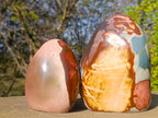 Polished Polychrome Jasper Standing Display Pieces x 2 From NW Coast, Madagascar - Toprock Gemstones and Minerals 
