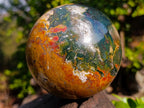 Polished Large Ocean Jasper Sphere x 1 From Northwest Coast, Madagascar - Toprock Gemstones and Minerals 