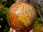Polished Large Ocean Jasper Sphere x 1 From Northwest Coast, Madagascar - Toprock Gemstones and Minerals 
