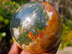 Polished Large Ocean Jasper Sphere x 1 From Northwest Coast, Madagascar - Toprock Gemstones and Minerals 