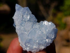 Natural Blue Celestite Specimens x 20 From Sakoany, Madagascar - Toprock Gemstones and Minerals 