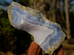 Natural Blue Lace Agate Specimens x 12 From Nsanje, Malawi - Toprock Gemstones and Minerals 