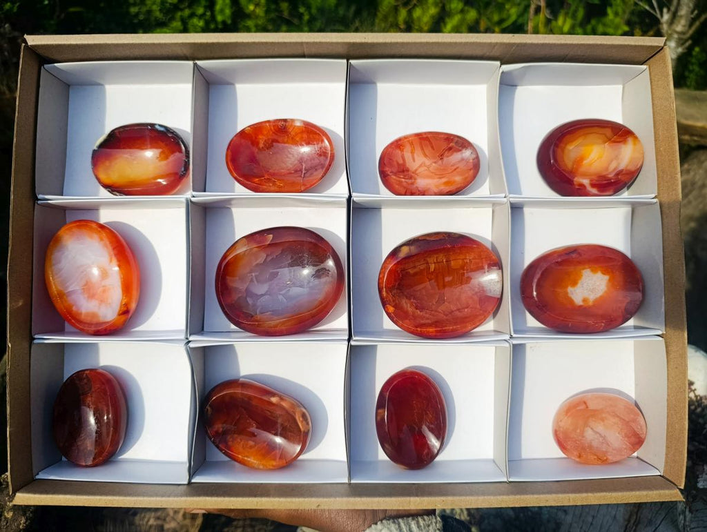 Polished Carnelian Agate Gemstone Bowls x 12 From Madagascar - Toprock Gemstones and Minerals 