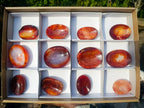 Polished Carnelian Agate Gemstone Bowls x 12 From Madagascar - Toprock Gemstones and Minerals 