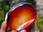 Polished Carnelian Agate Gemstone Bowls x 12 From Madagascar - Toprock Gemstones and Minerals 