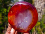 Polished Carnelian Agate Gemstone Bowls x 12 From Madagascar - Toprock Gemstones and Minerals 