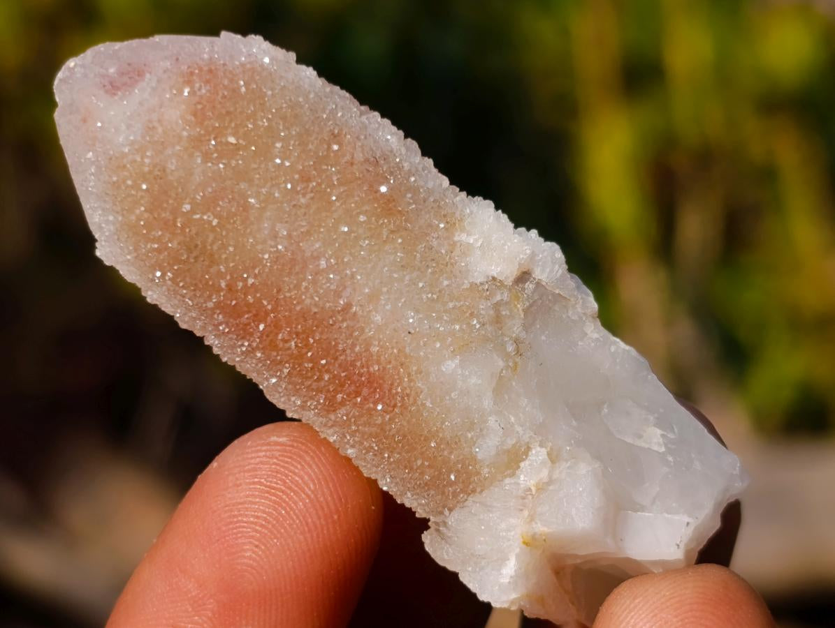 Natural Spirit Quartz Crystals x 70 From Boekenhouthoek, South Africa - Toprock Gemstones and Minerals 