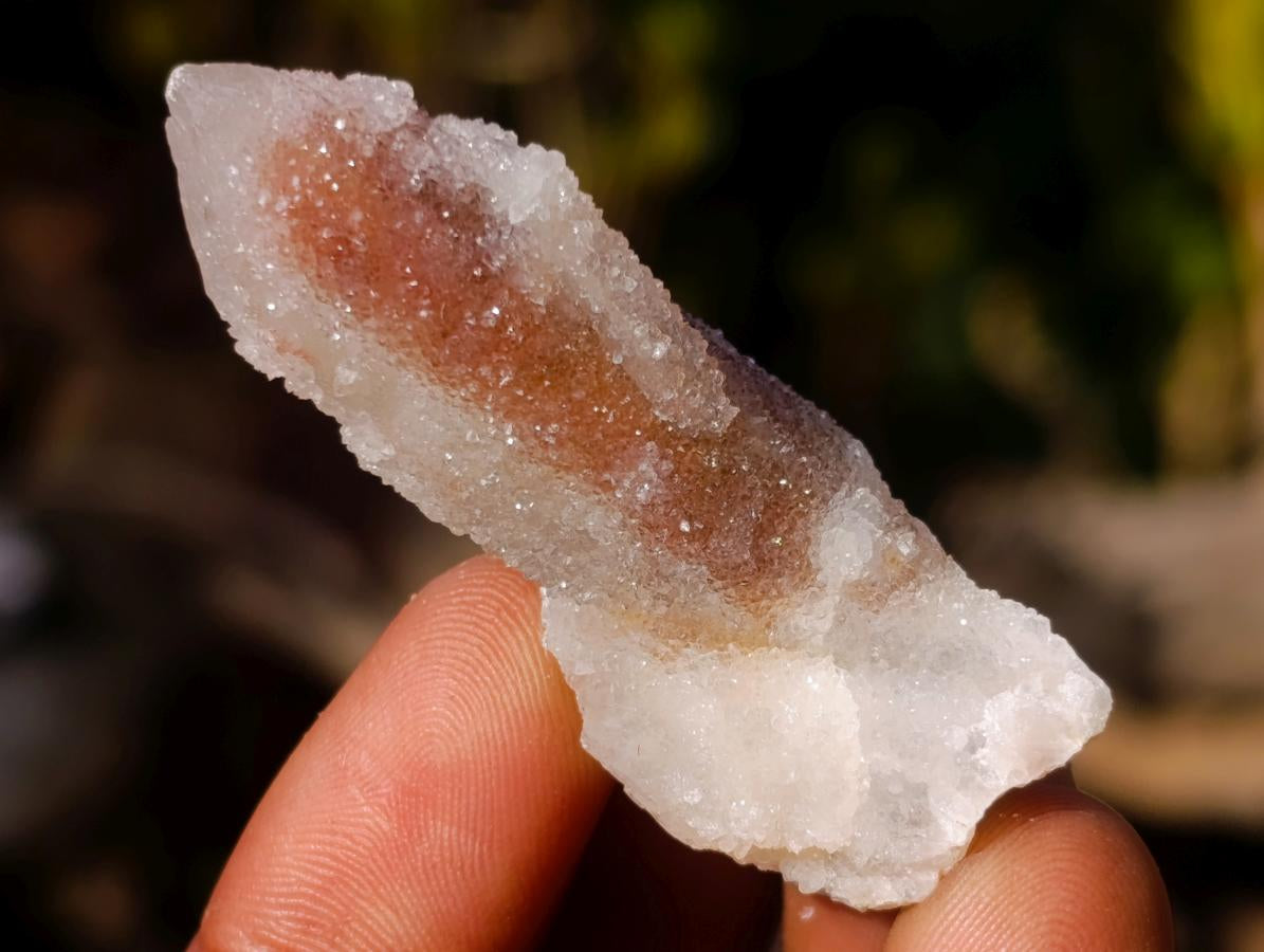 Natural Spirit Quartz Crystals x 70 From Boekenhouthoek, South Africa - Toprock Gemstones and Minerals 