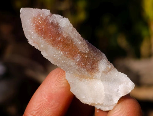 Natural Spirit Quartz Crystals x 70 From Boekenhouthoek, South Africa - Toprock Gemstones and Minerals 