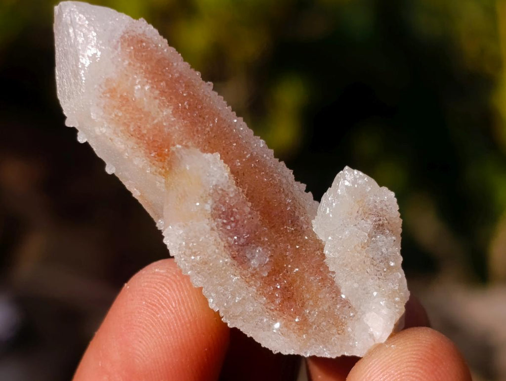 Natural Spirit Quartz Crystals x 70 From Boekenhouthoek, South Africa - Toprock Gemstones and Minerals 