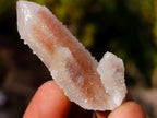 Natural Spirit Quartz Crystals x 70 From Boekenhouthoek, South Africa - Toprock Gemstones and Minerals 