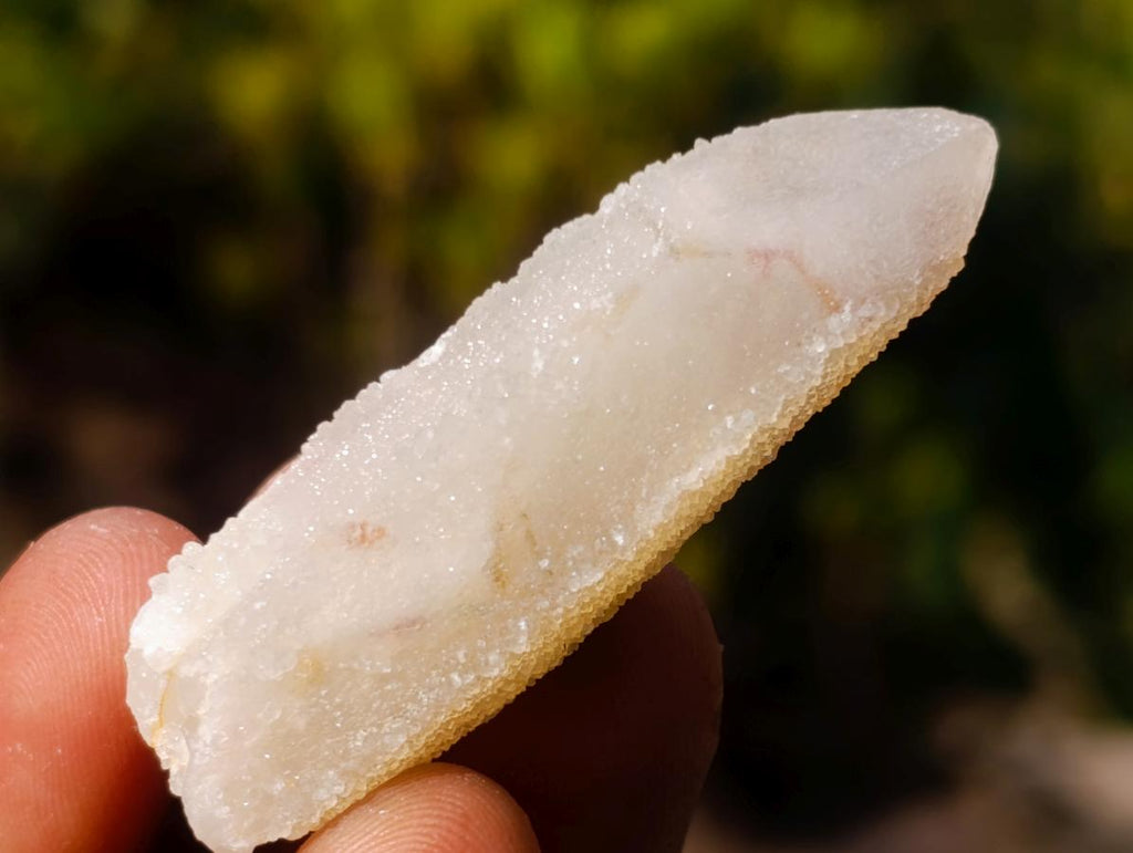 Natural Spirit Quartz Crystals x 70 From Boekenhouthoek, South Africa - Toprock Gemstones and Minerals 