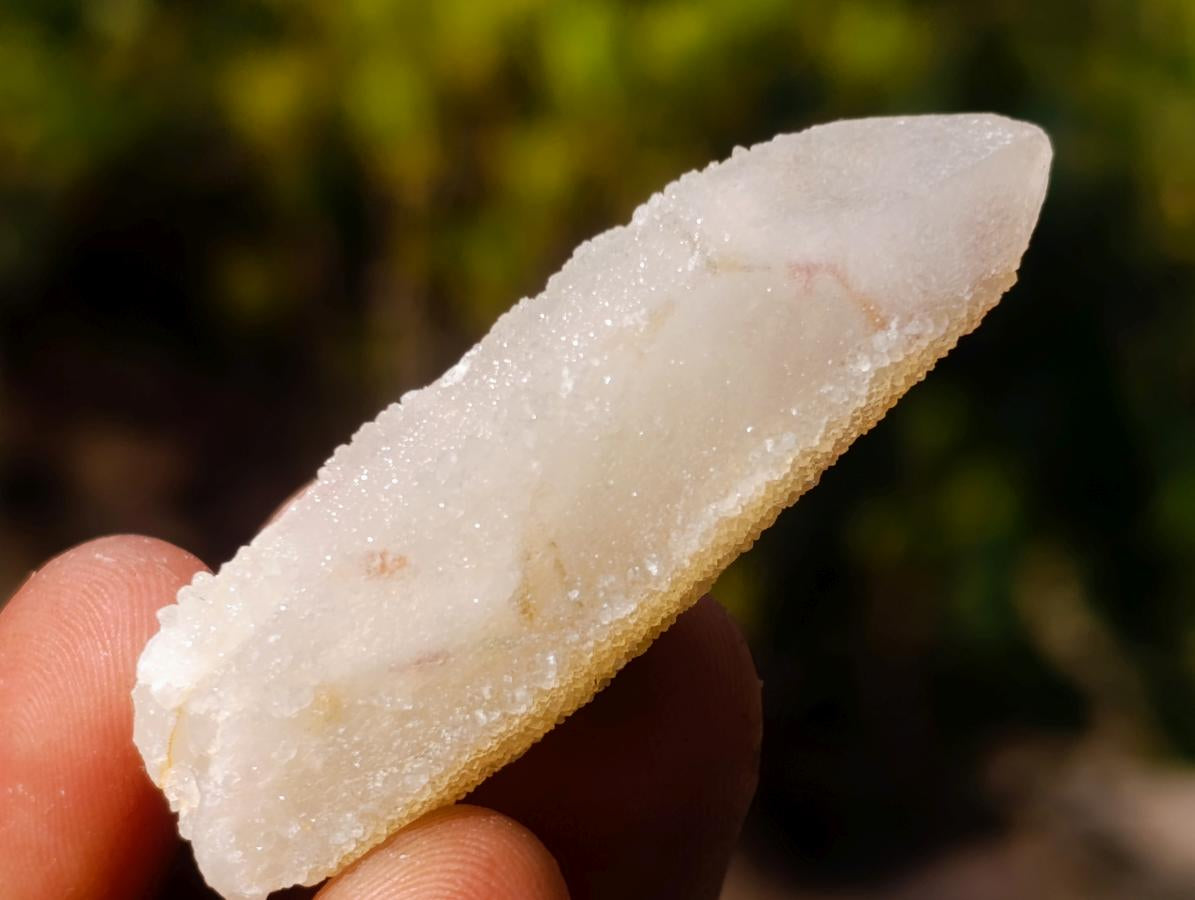 Natural Spirit Quartz Crystals x 70 From Boekenhouthoek, South Africa - Toprock Gemstones and Minerals 