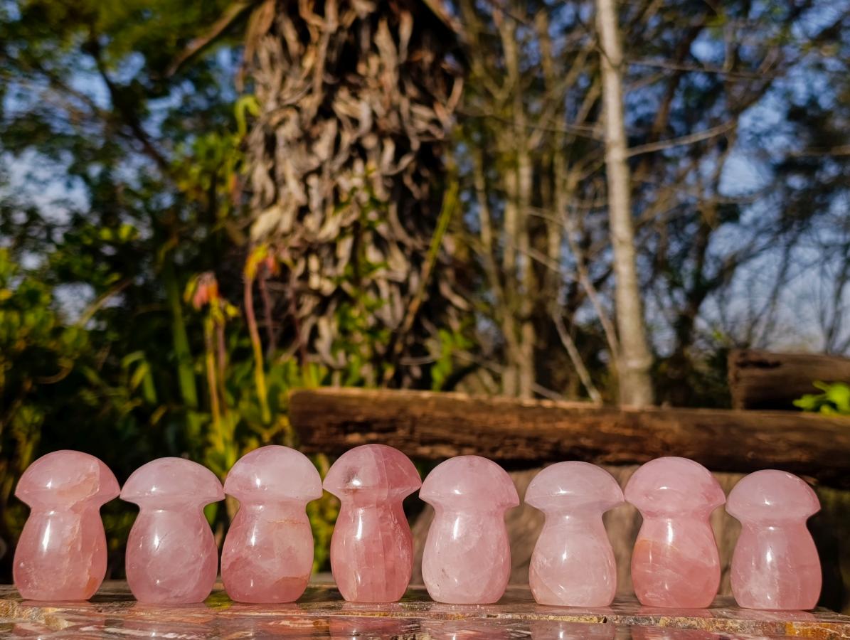 Polished Gemmy Rose Quartz Mushrooms x 24 From Madagascar - Toprock Gemstones and Minerals 