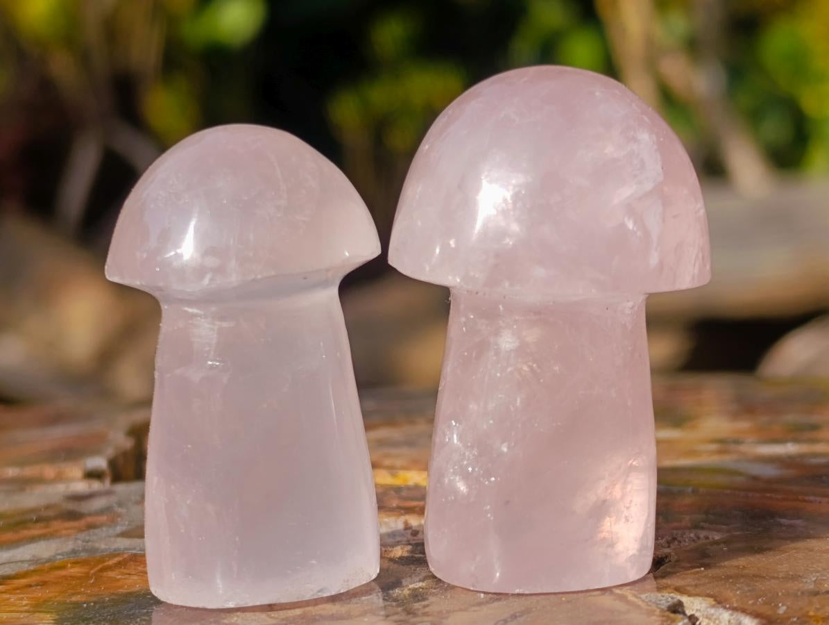 Polished Gemmy Rose Quartz Mushrooms x 24 From Madagascar - Toprock Gemstones and Minerals 
