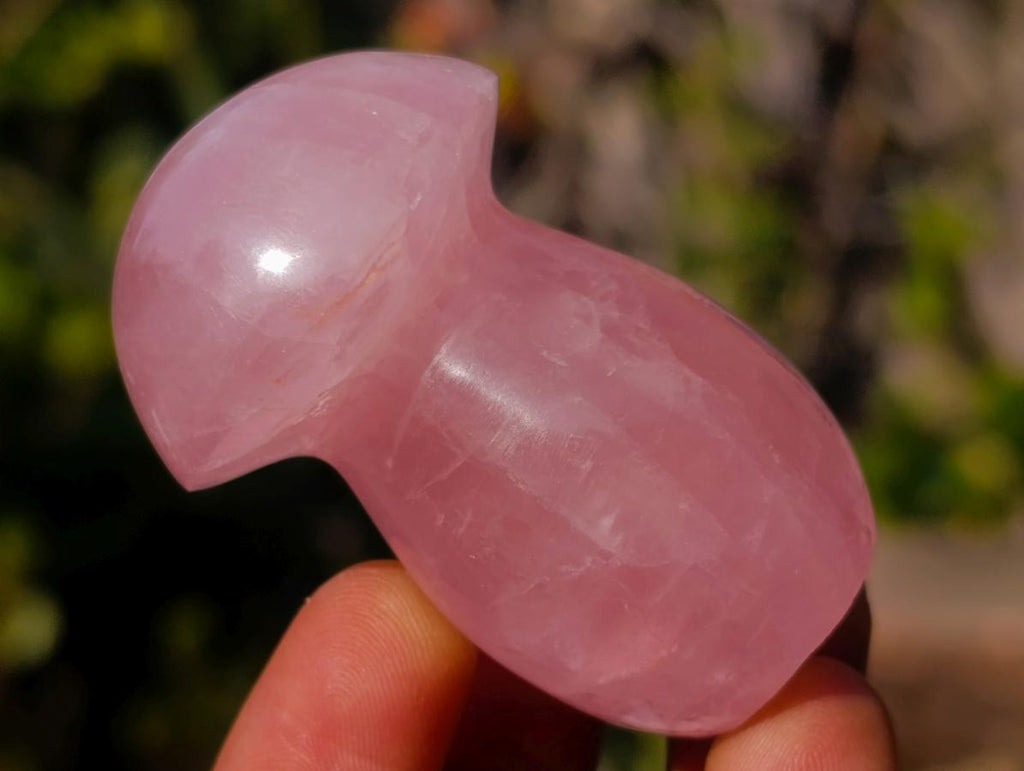 Polished Gemmy Rose Quartz Mushrooms x 24 From Madagascar - Toprock Gemstones and Minerals 