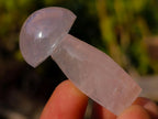 Polished Gemmy Rose Quartz Mushrooms x 24 From Madagascar - Toprock Gemstones and Minerals 