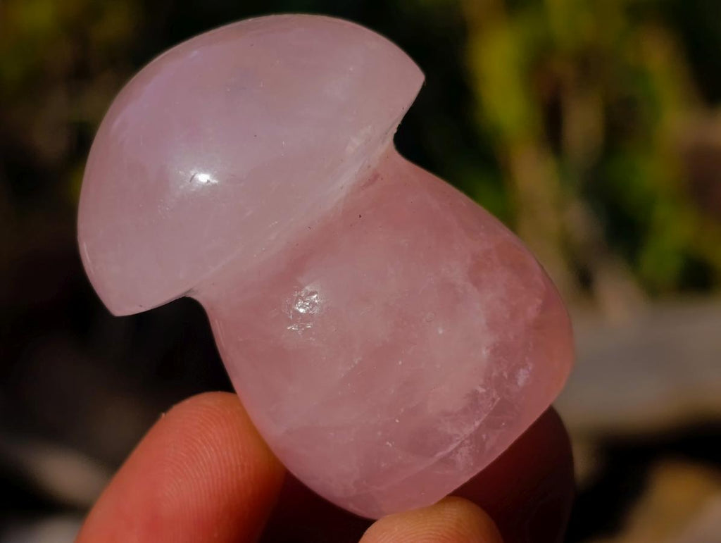 Polished Gemmy Rose Quartz Mushrooms x 24 From Madagascar - Toprock Gemstones and Minerals 